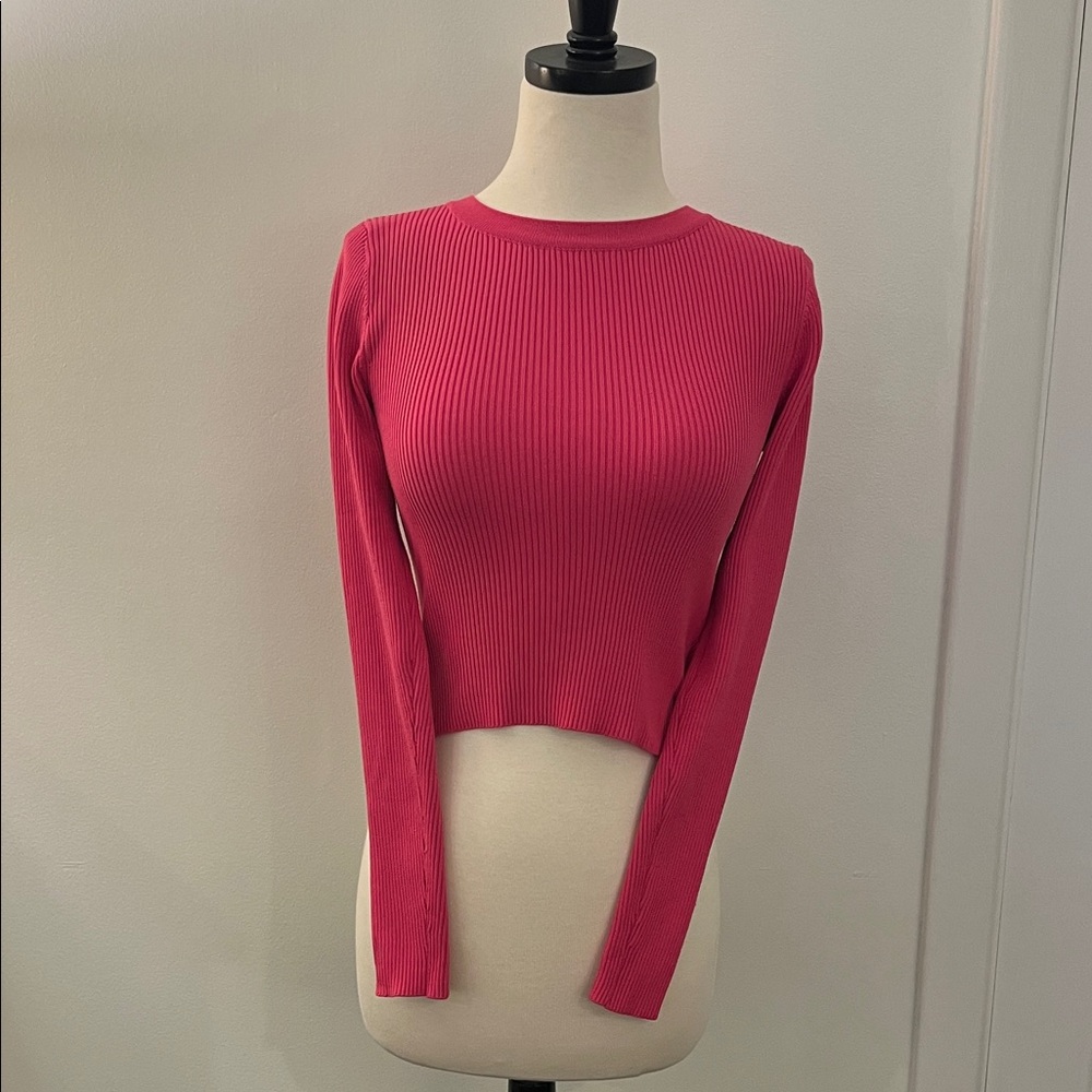 Sincerely Jules Vibrant Pink Ribbed Blouse